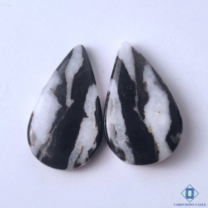 Zebra Jasper