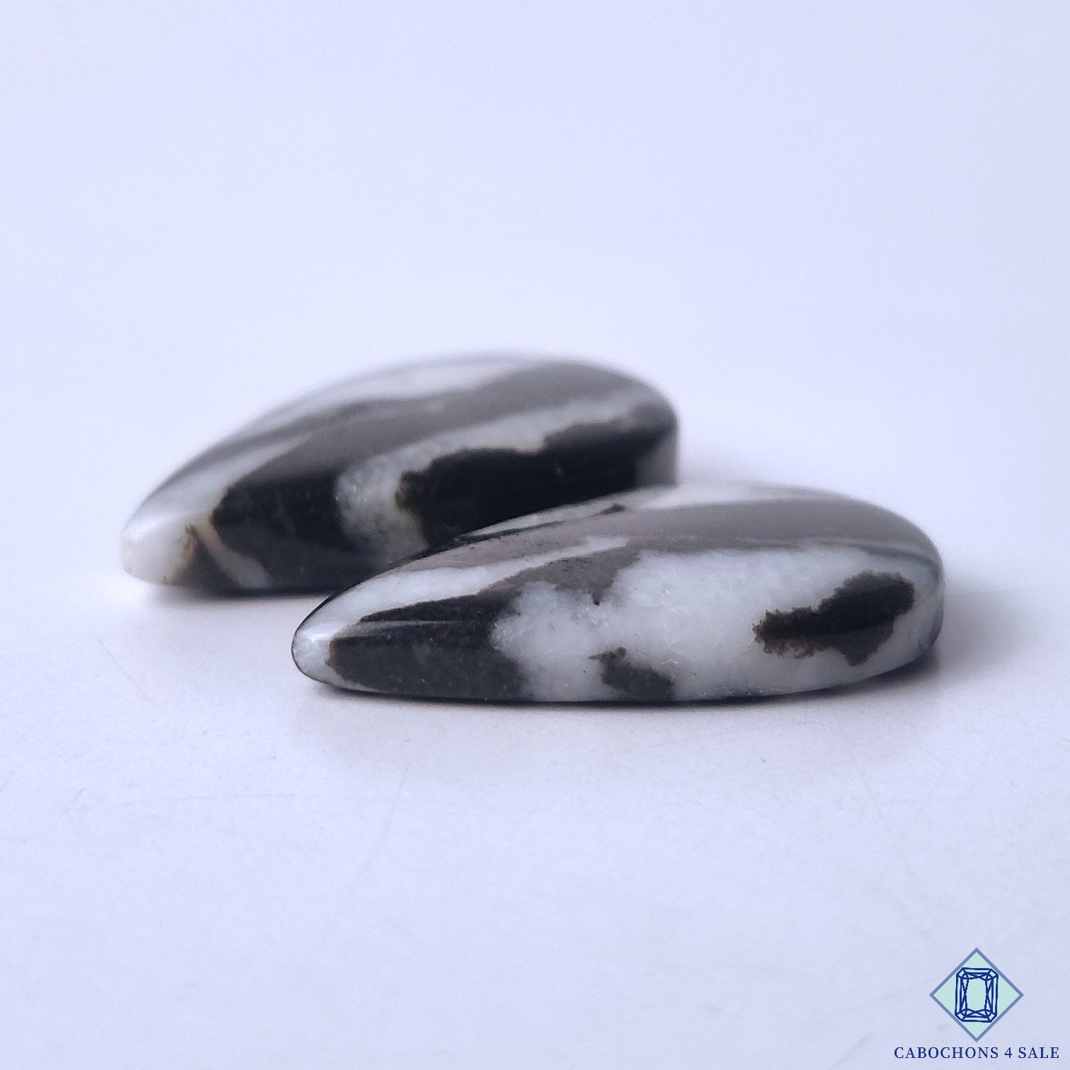 Zebra Jasper