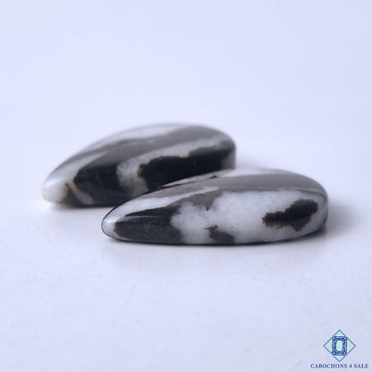 Zebra Jasper