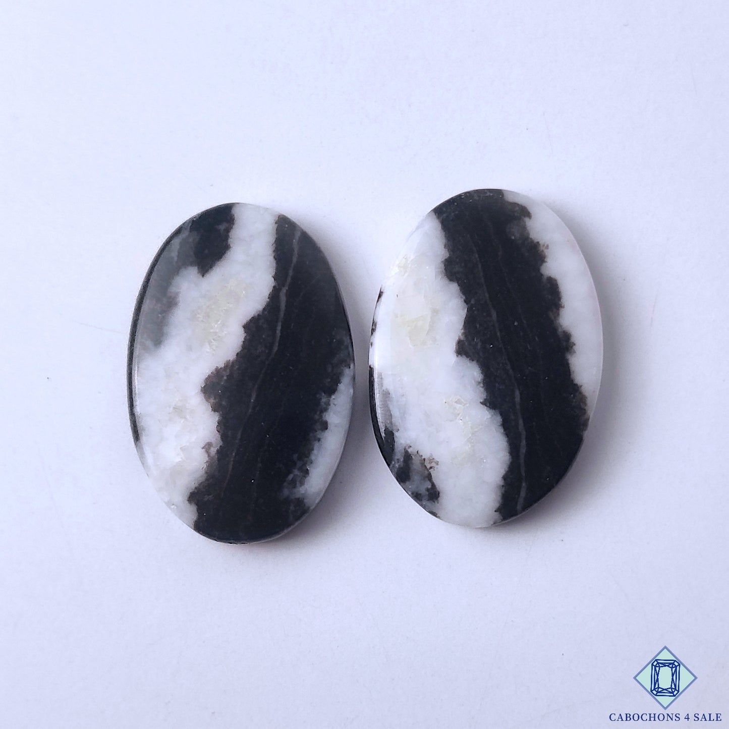 Zebra Jasper