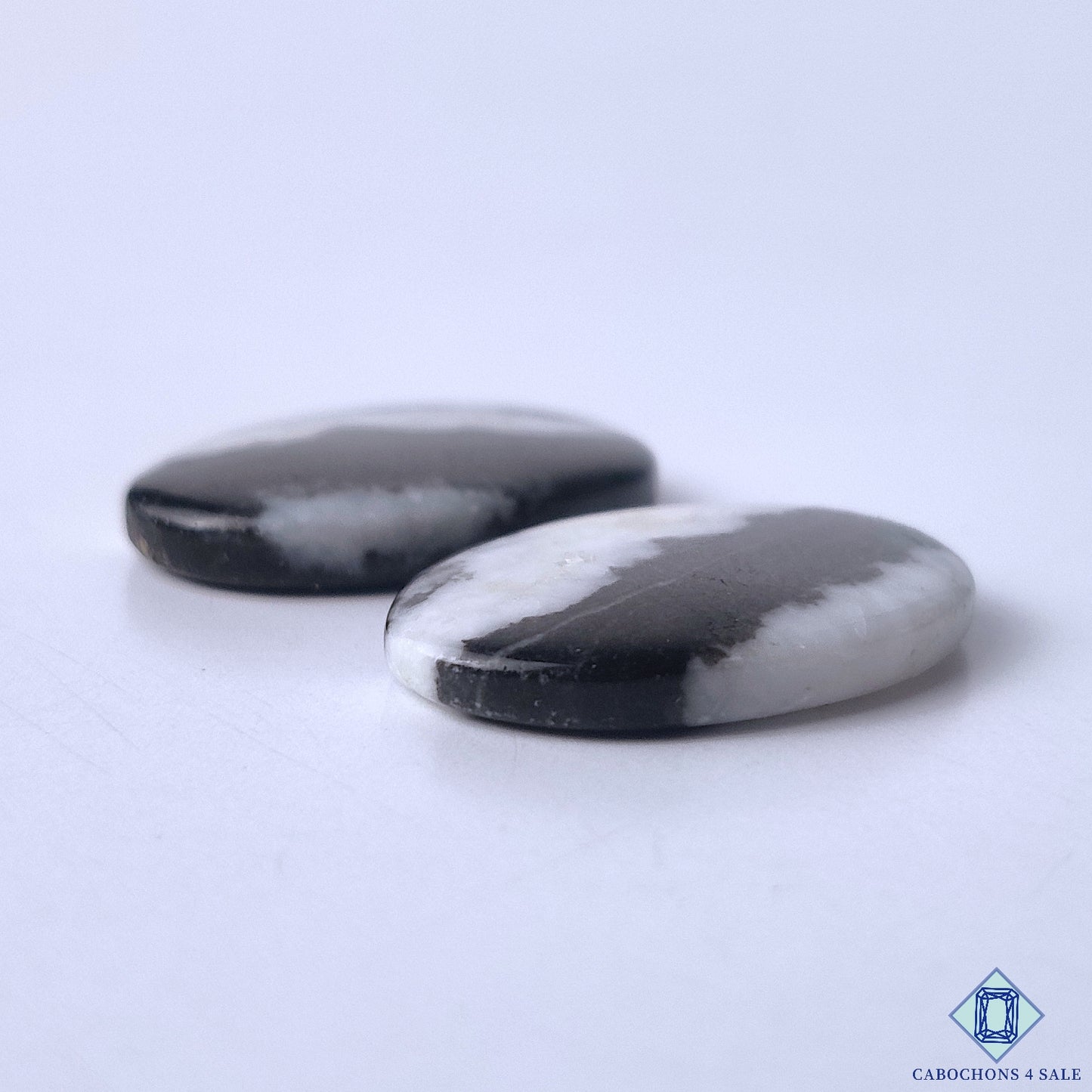 Zebra Jasper