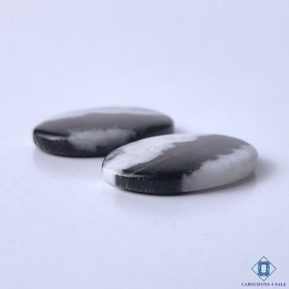 Zebra Jasper