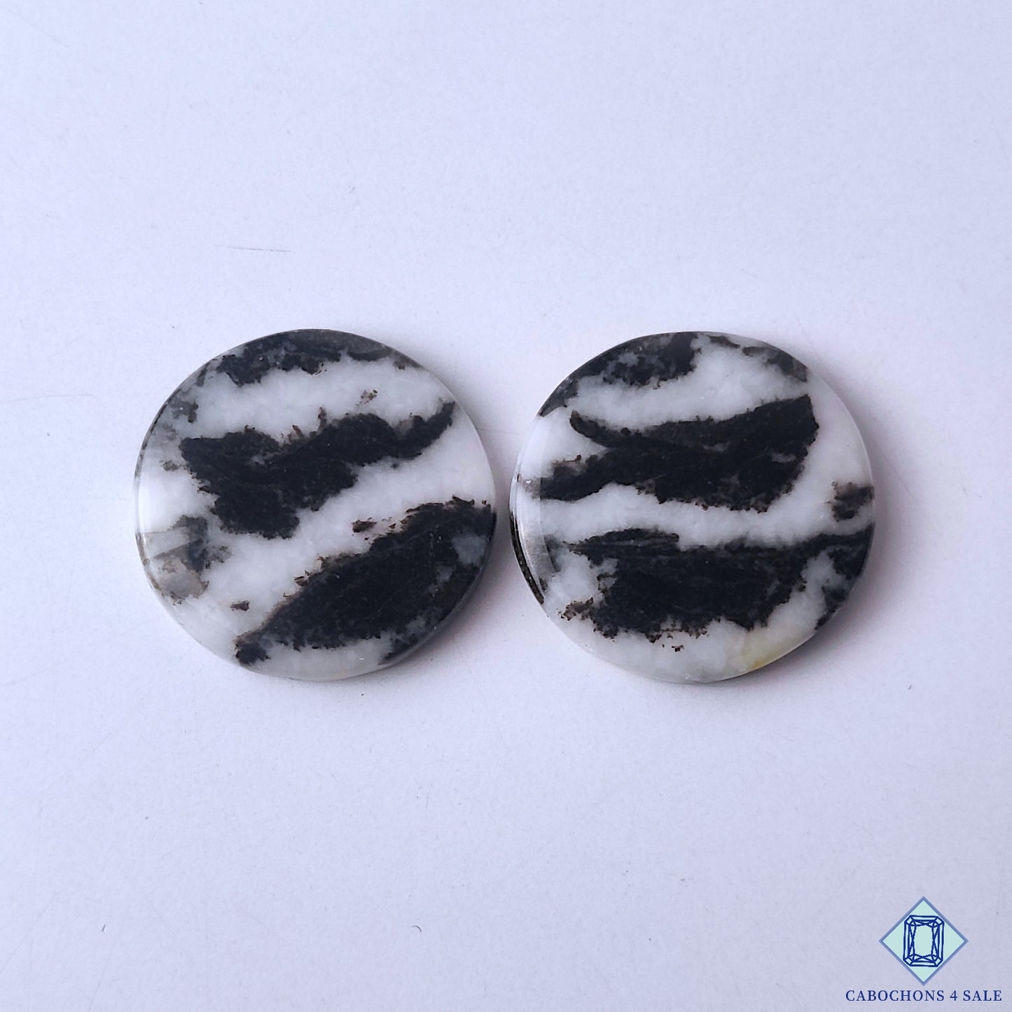 Zebra Jasper