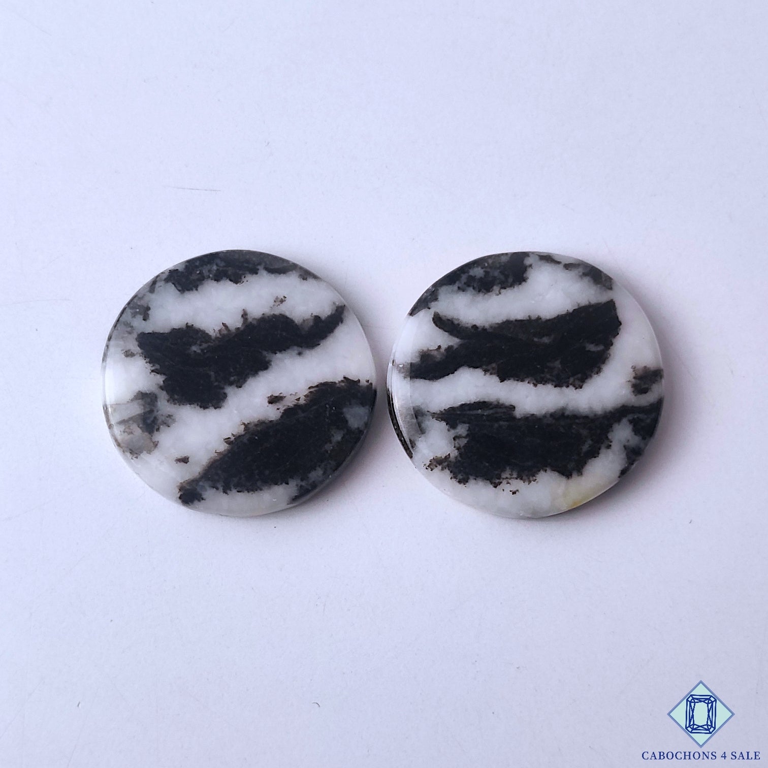 Zebra Jasper