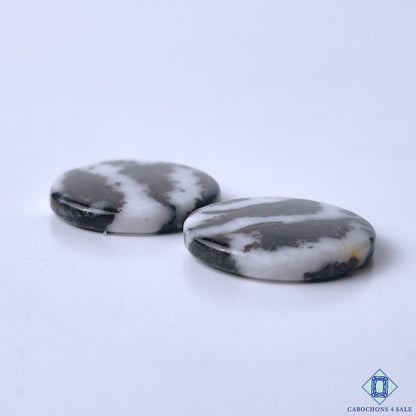 Zebra Jasper