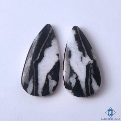 Zebra Jasper