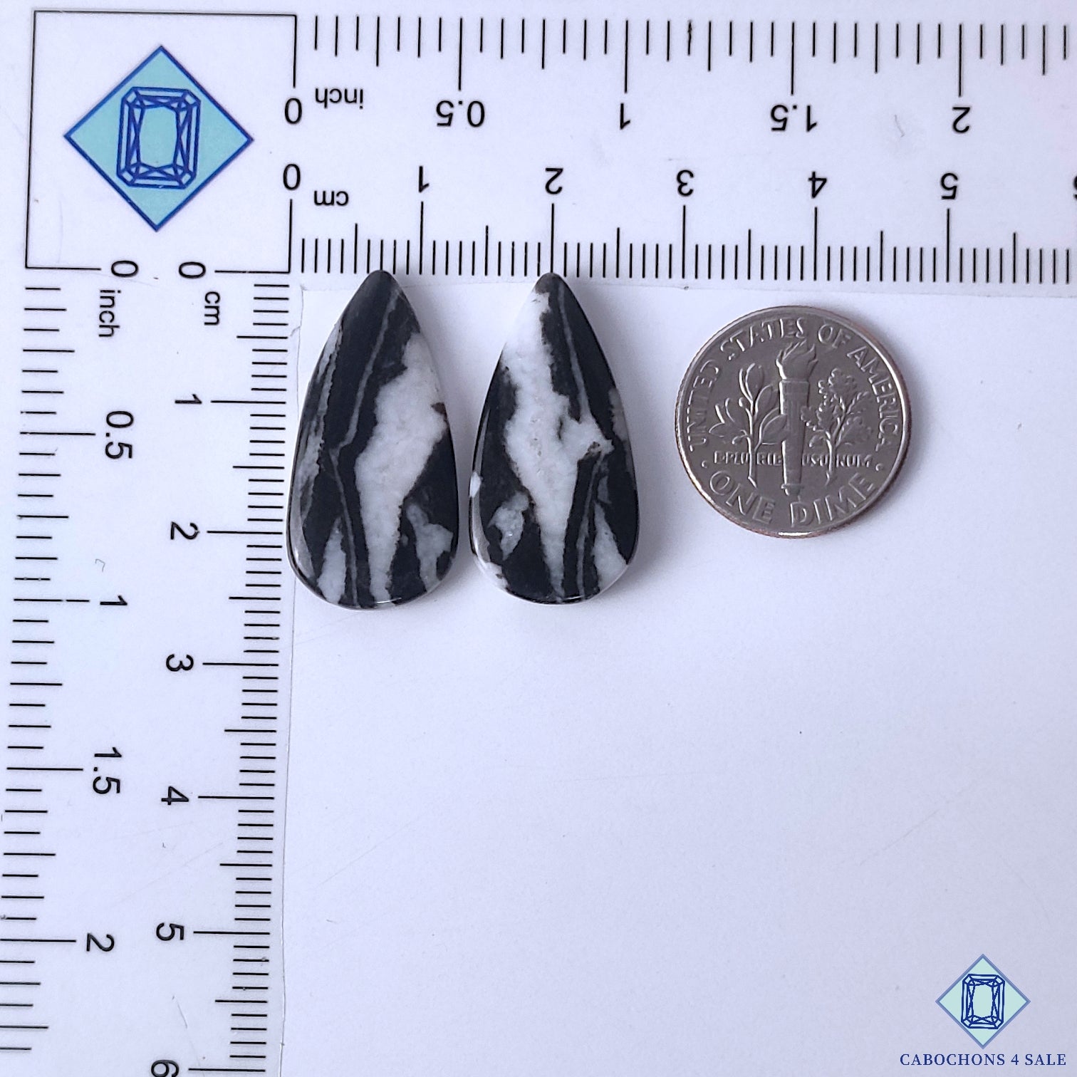 Zebra Jasper
