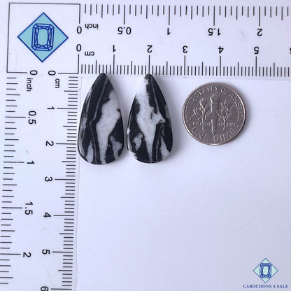 Zebra Jasper