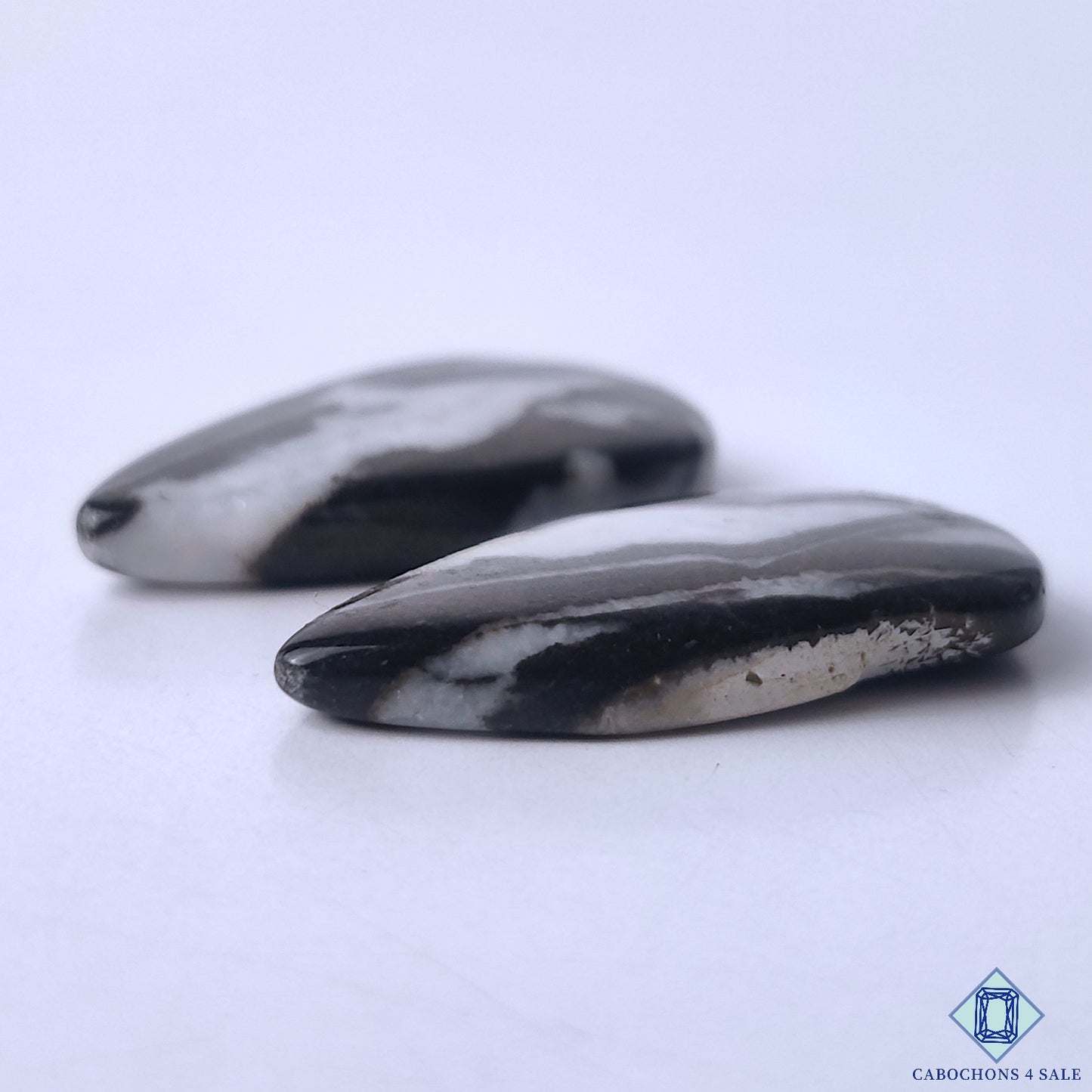 Zebra Jasper