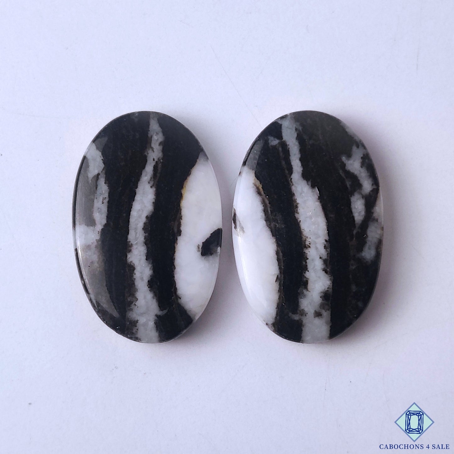 Zebra Jasper