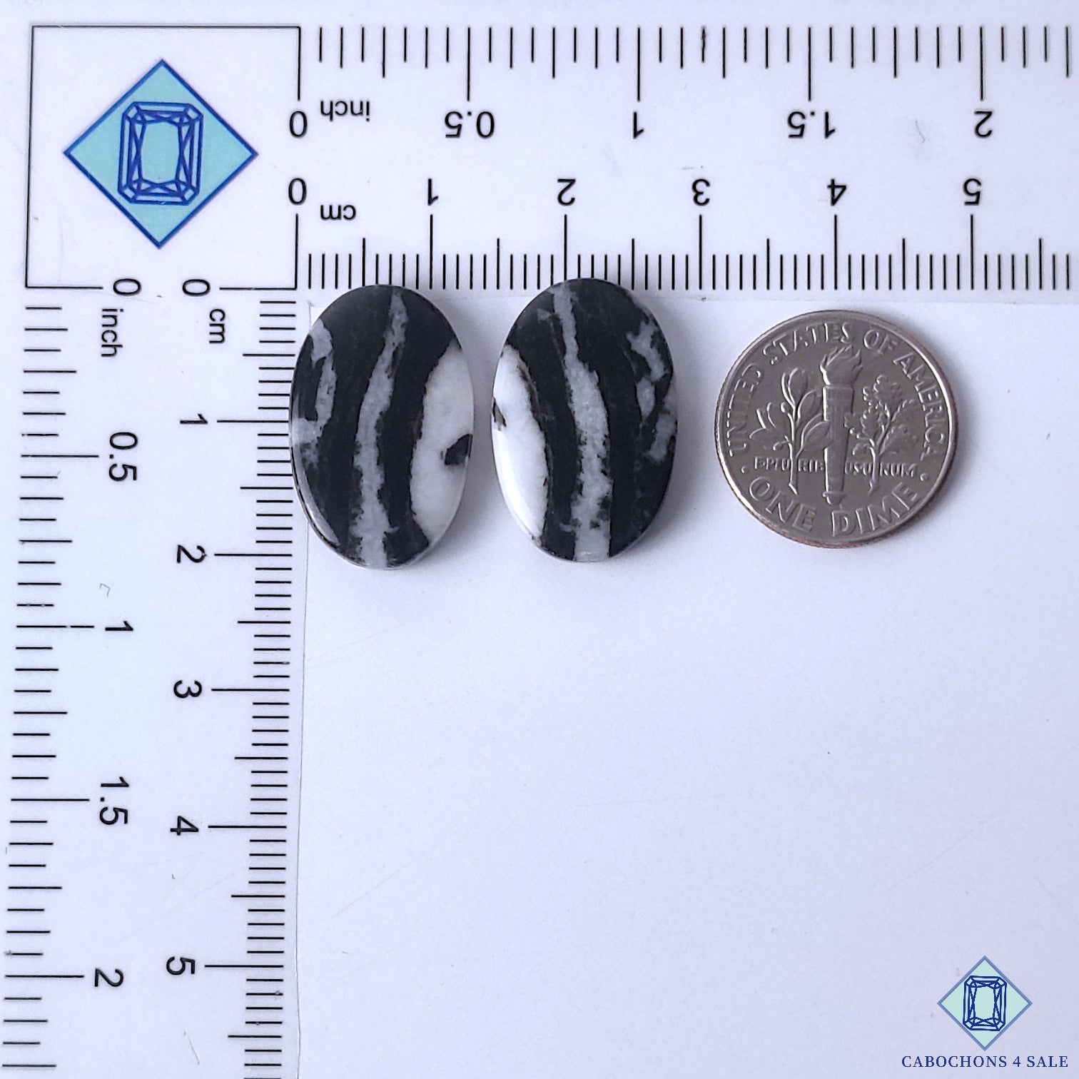 Zebra Jasper