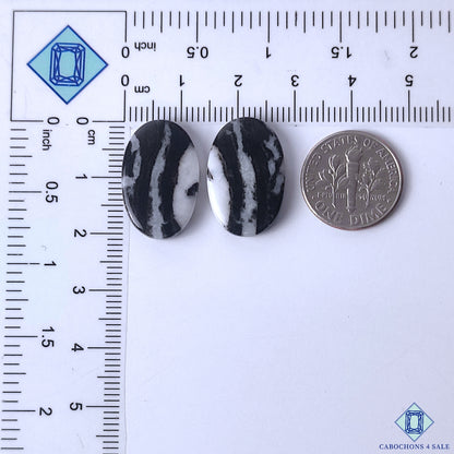 Zebra Jasper
