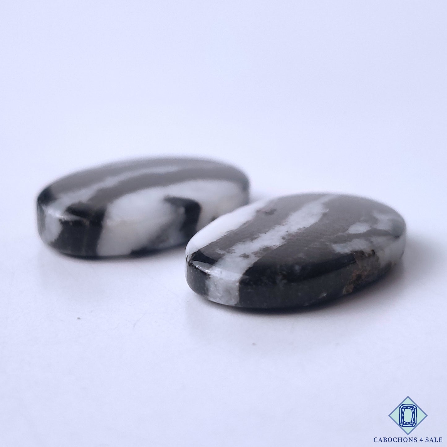 Zebra Jasper