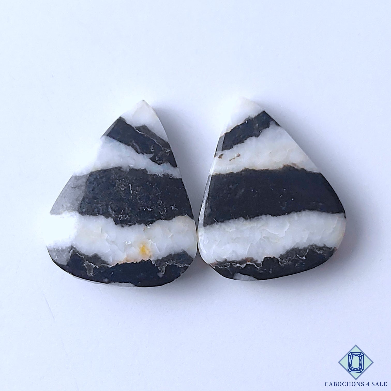 Zebra Jasper