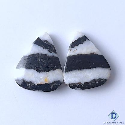 Zebra Jasper