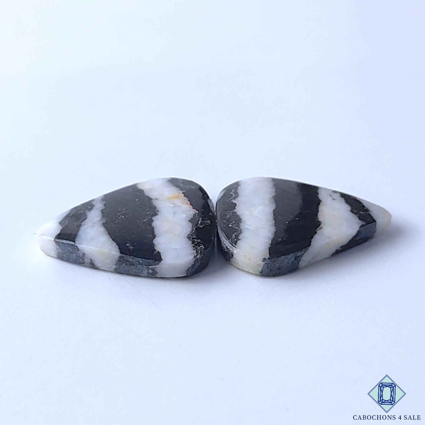 Zebra Jasper