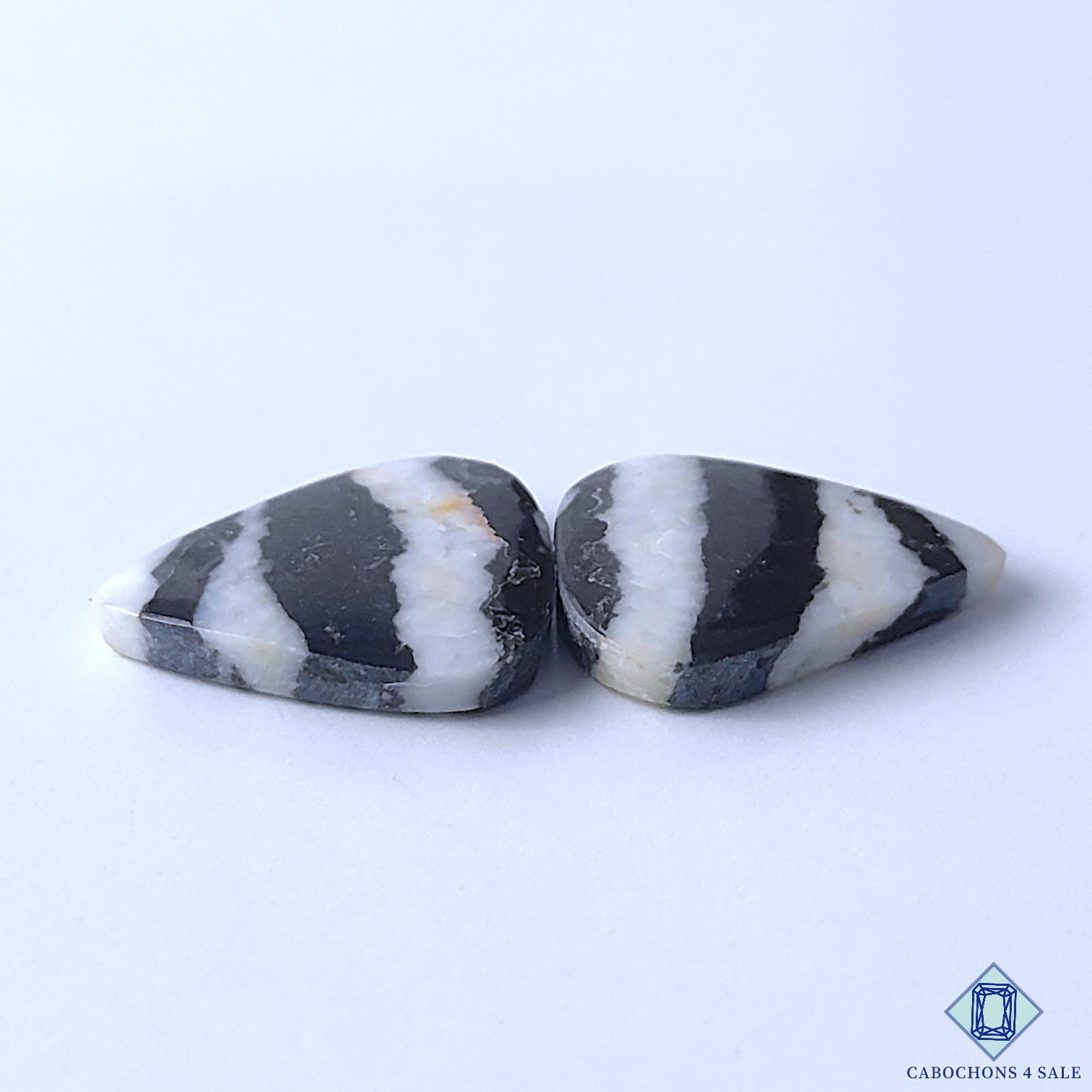 Zebra Jasper