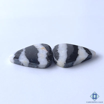 Zebra Jasper