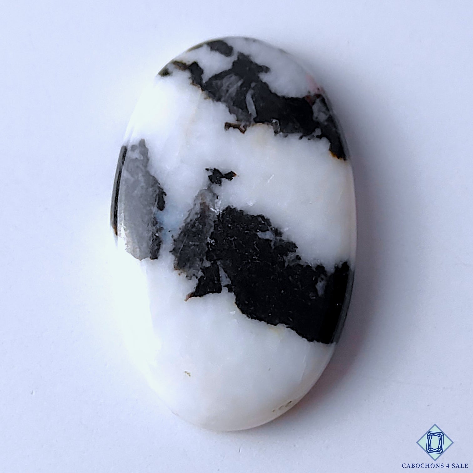 Zebra Jasper