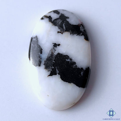 Zebra Jasper