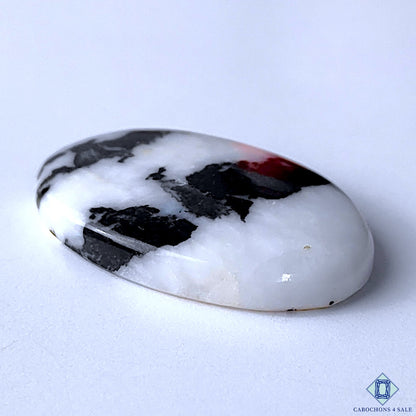 Zebra Jasper