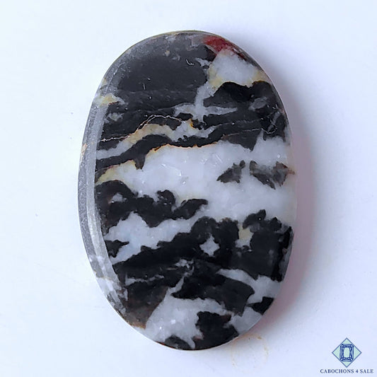 Zebra Jasper