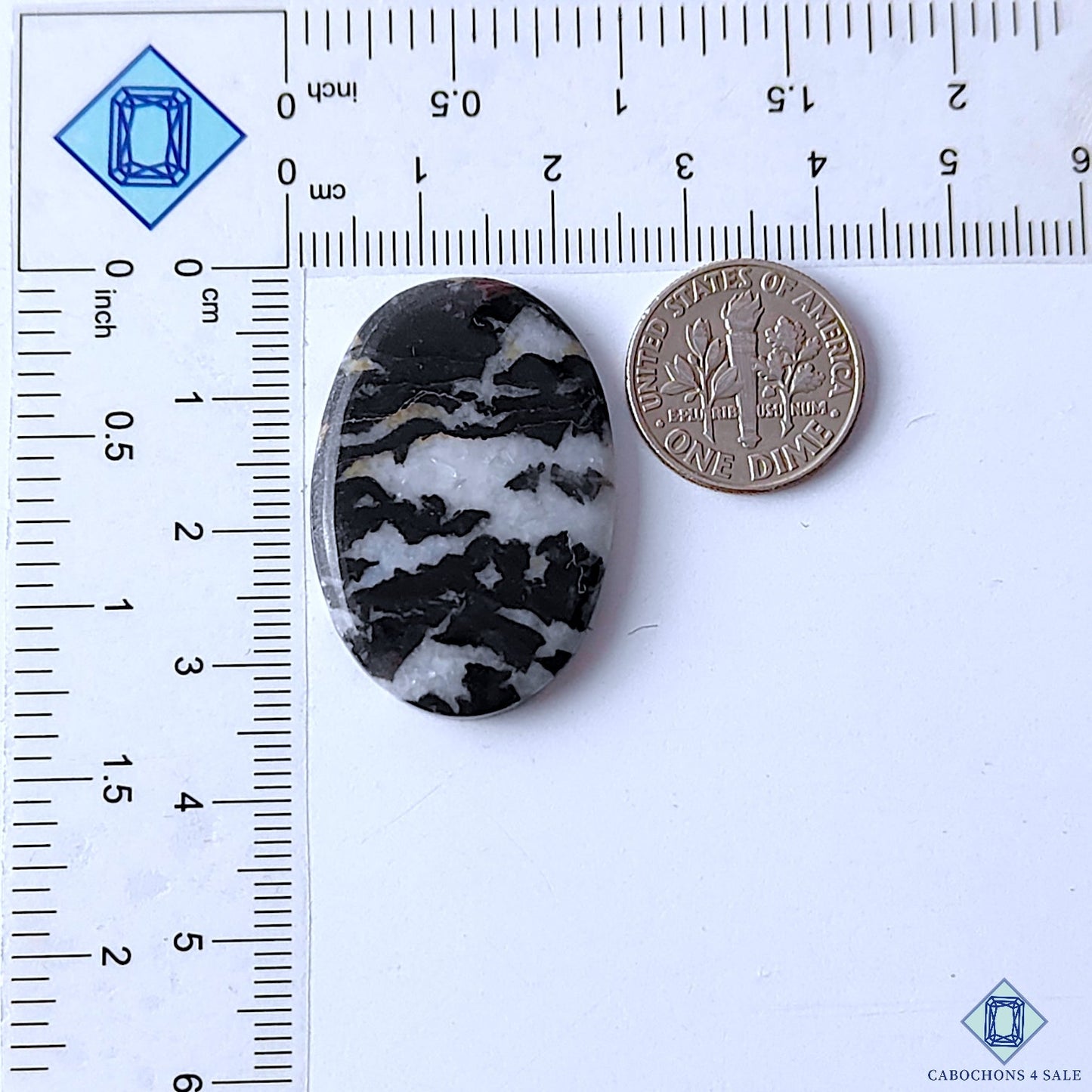 Zebra Jasper