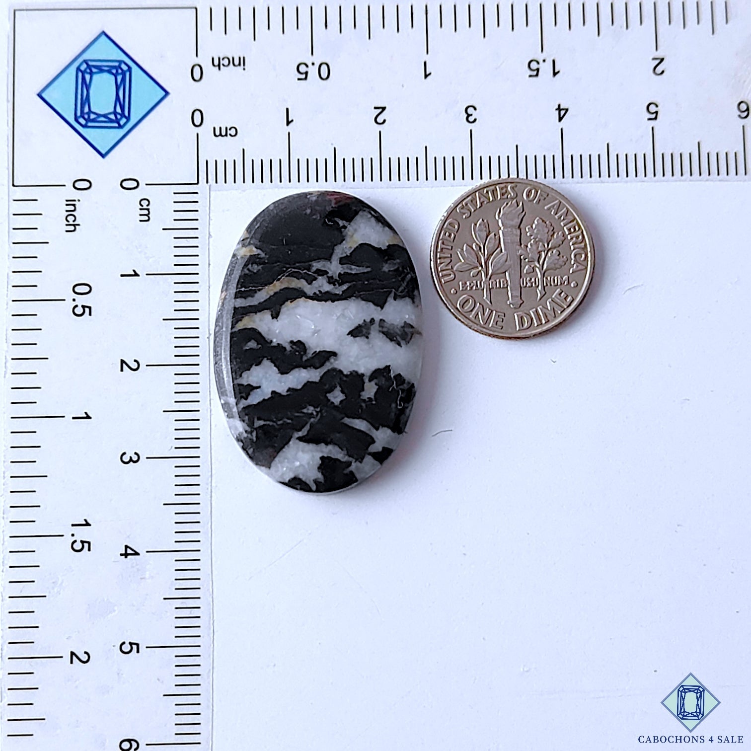 Zebra Jasper