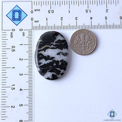 Zebra Jasper