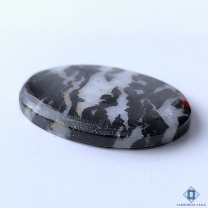Zebra Jasper