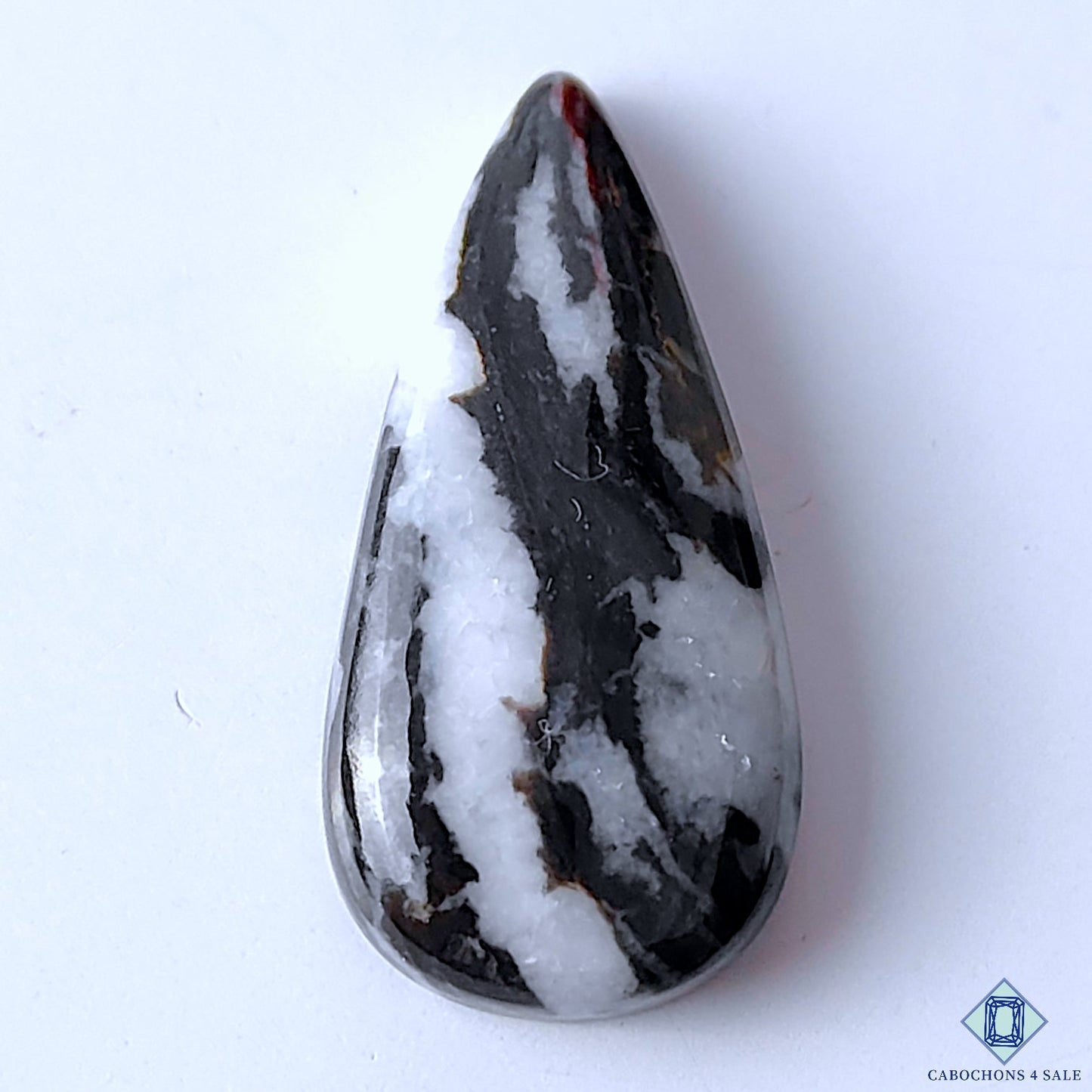Zebra Jasper