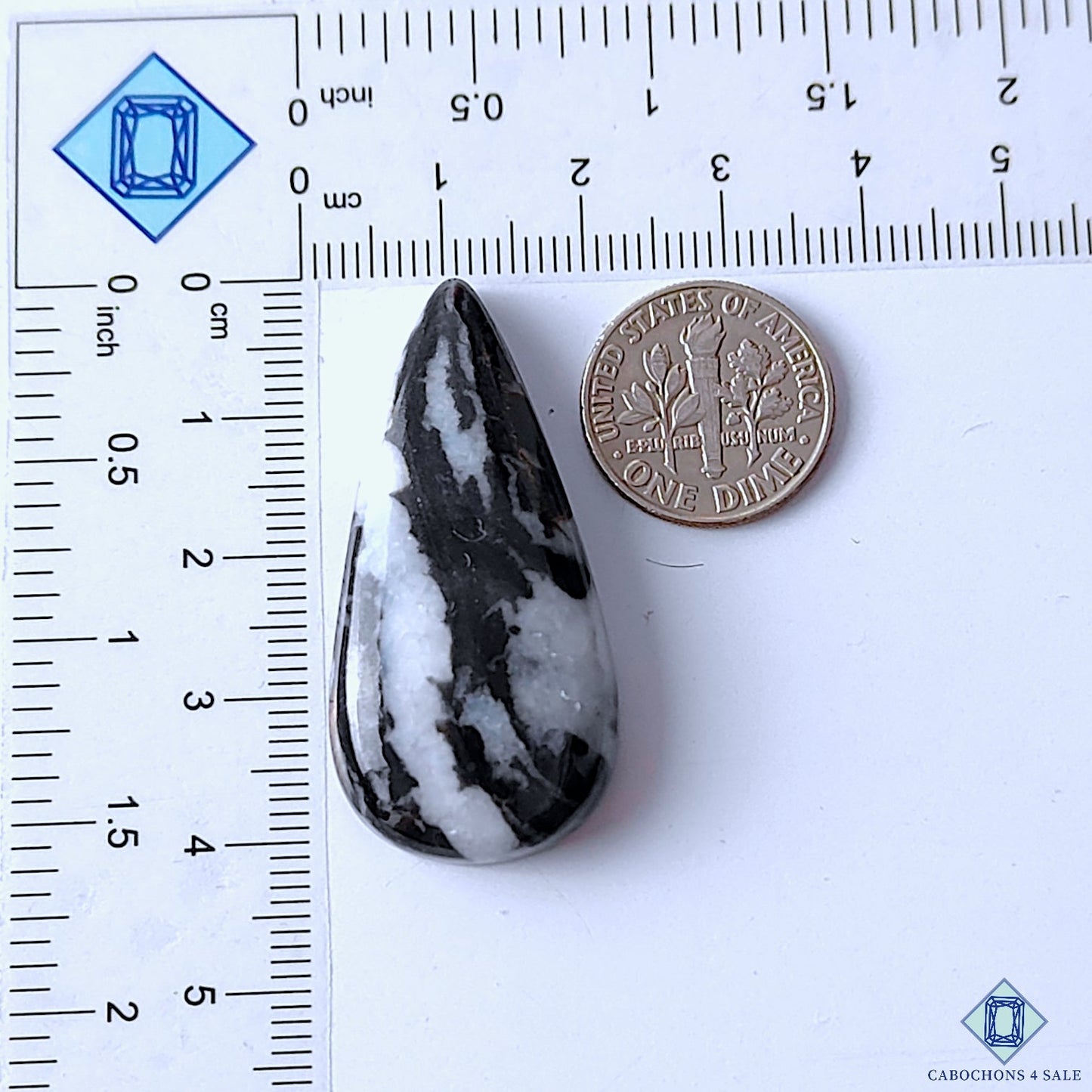 Zebra Jasper
