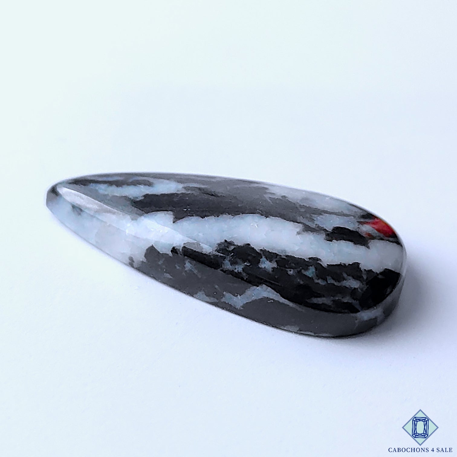 Zebra Jasper