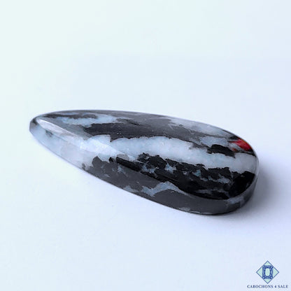 Zebra Jasper