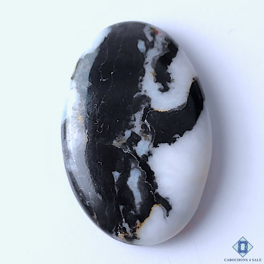 Zebra Jasper