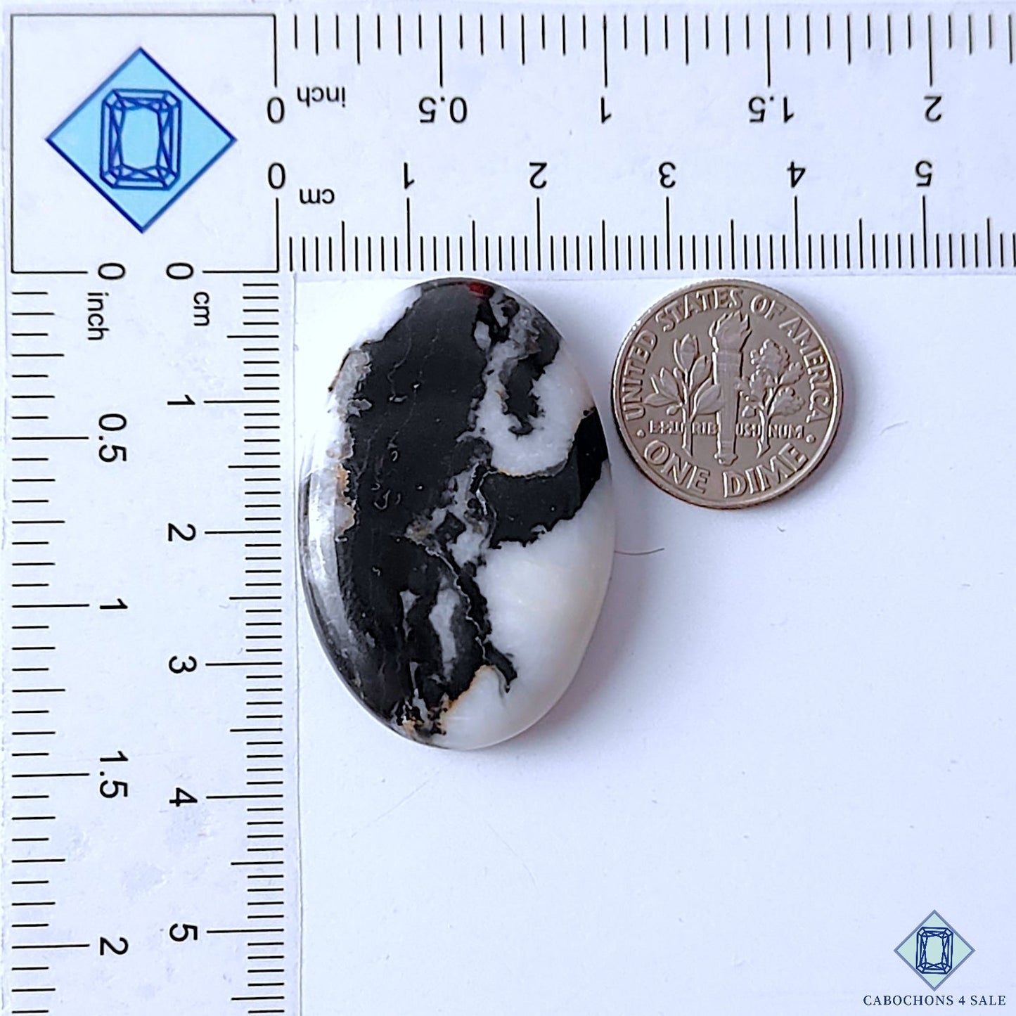 Zebra Jasper