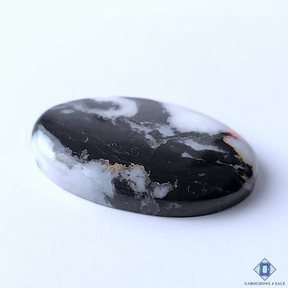 Zebra Jasper