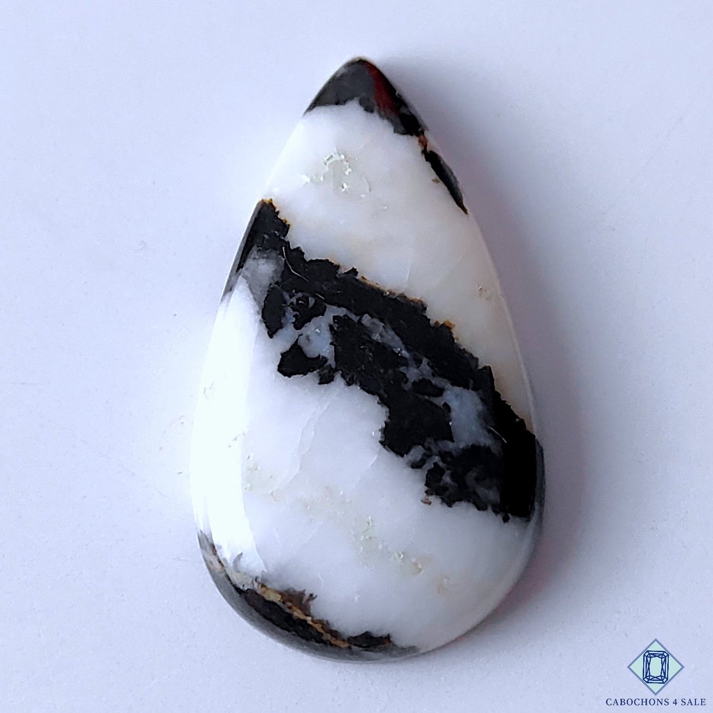 Zebra Jasper