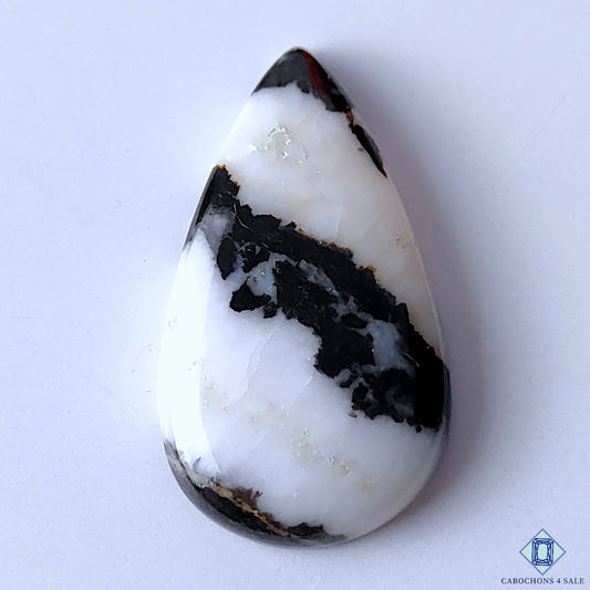 Zebra Jasper
