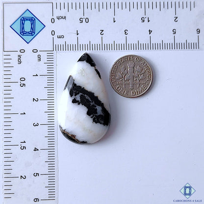 Zebra Jasper