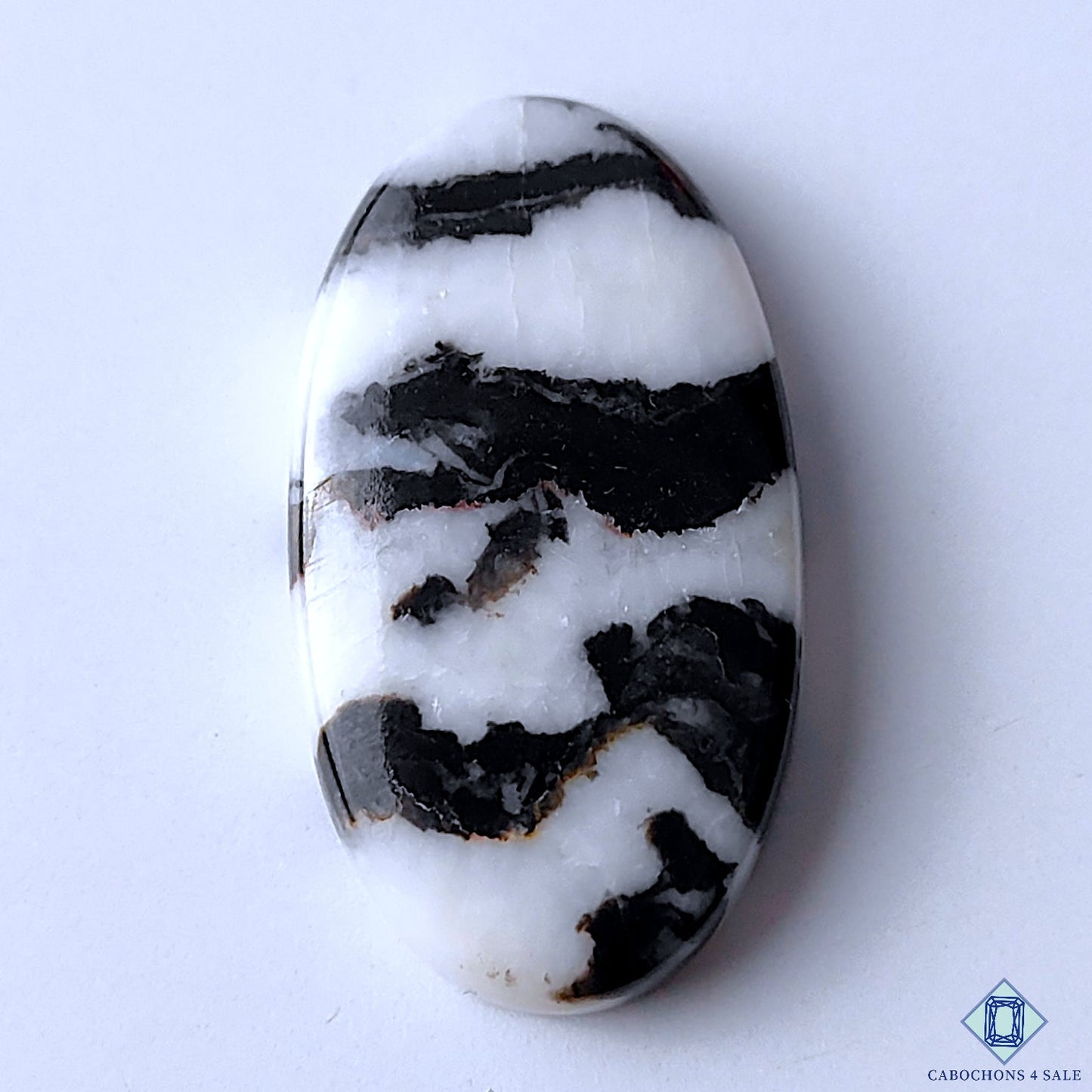 Zebra Jasper