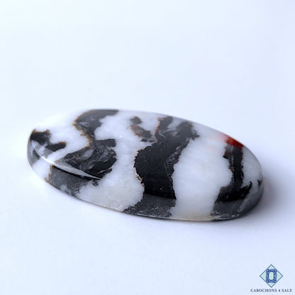 Zebra Jasper
