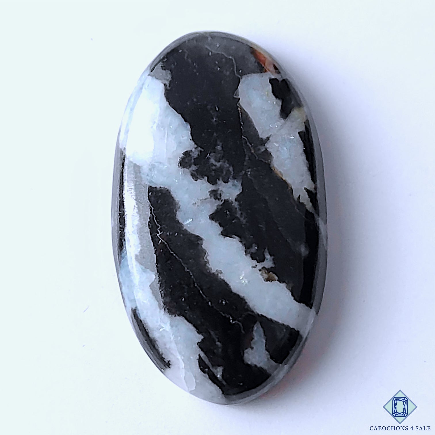 Zebra Jasper