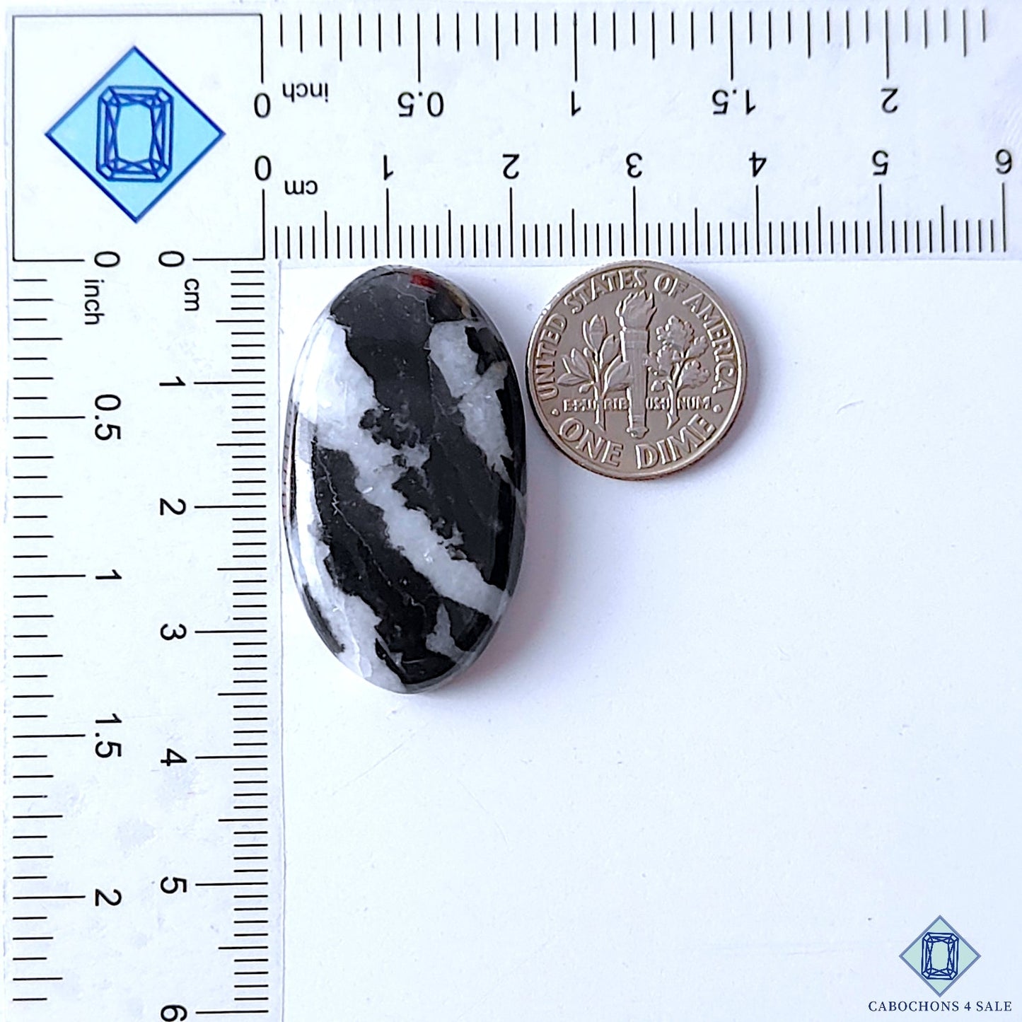 Zebra Jasper