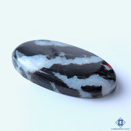 Zebra Jasper