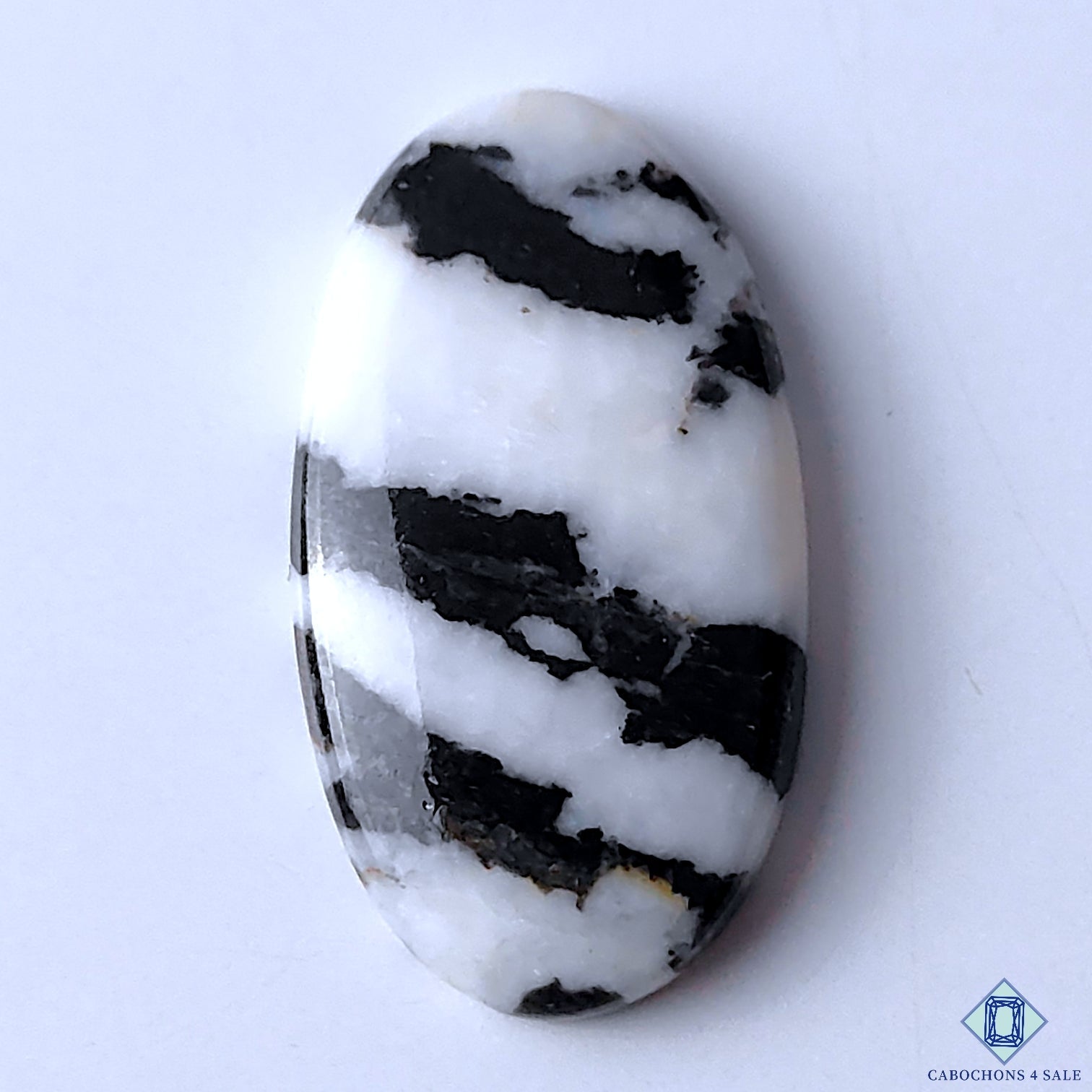 Zebra Jasper
