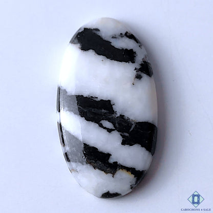 Zebra Jasper