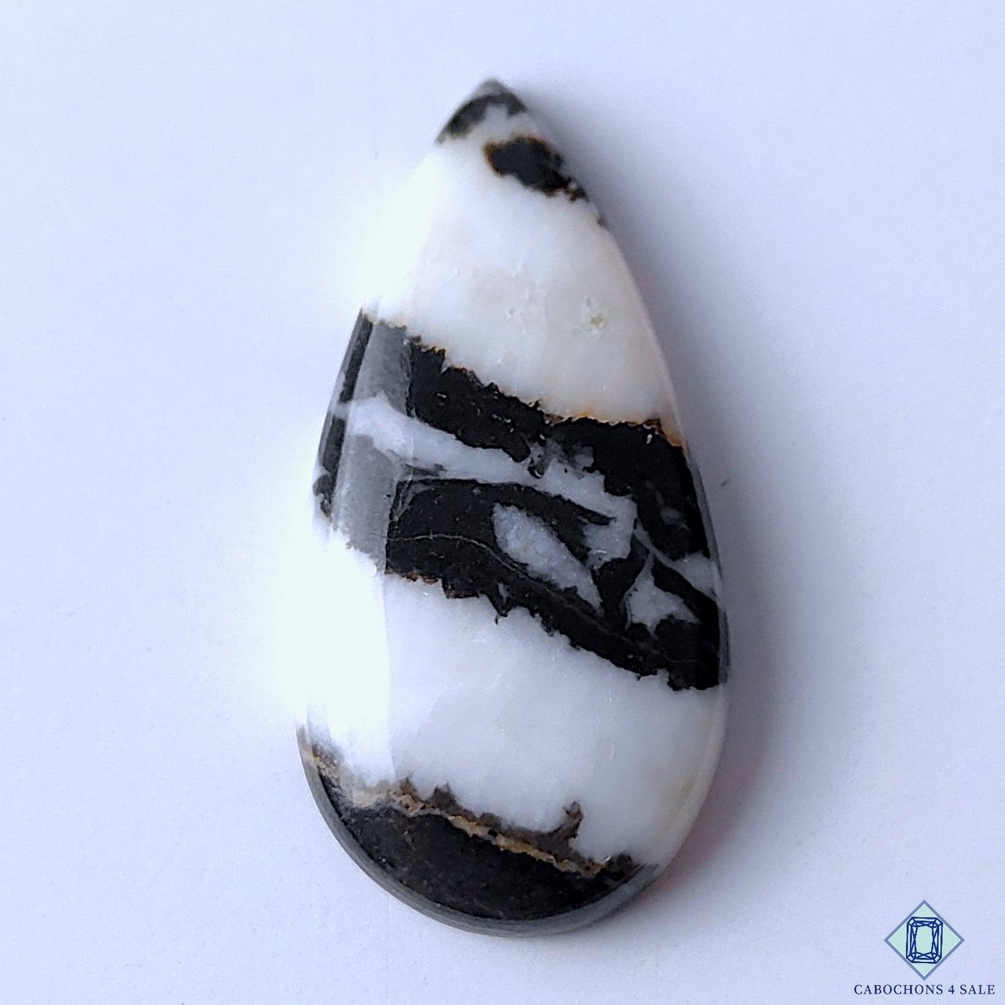 Zebra Jasper