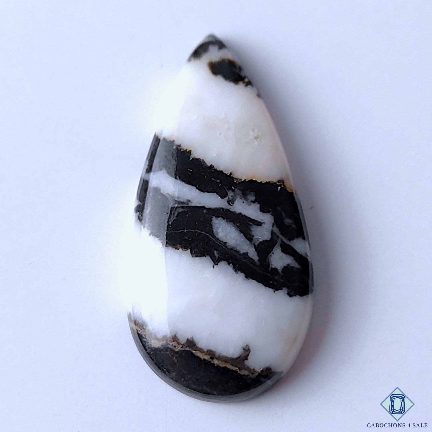 Zebra Jasper