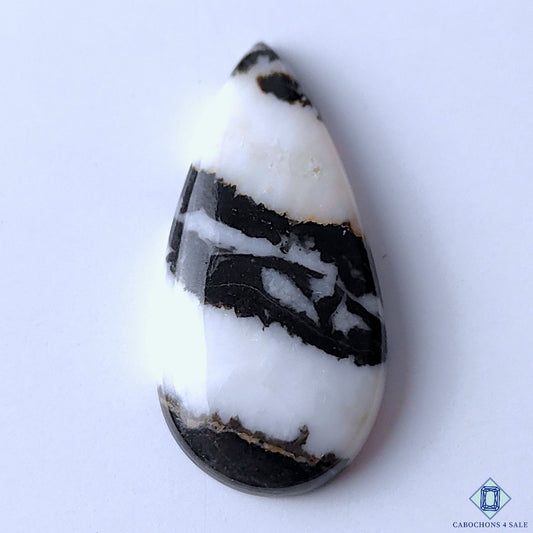 Zebra Jasper